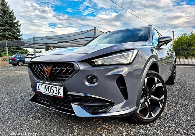 cupra